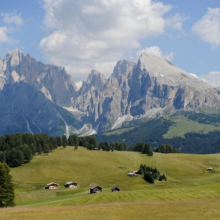 Naturresidence Dolomitenhof Alpe di Alpe di Siusi Extérieur photo